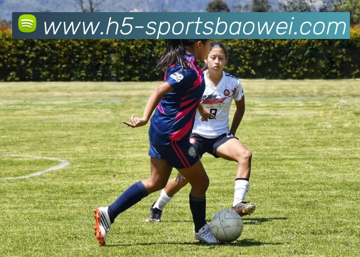 宝威体育平台生态图