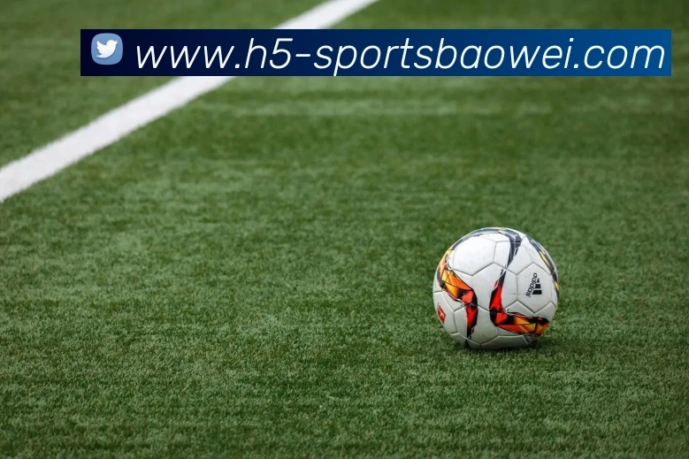 宝威体育APP 封面图