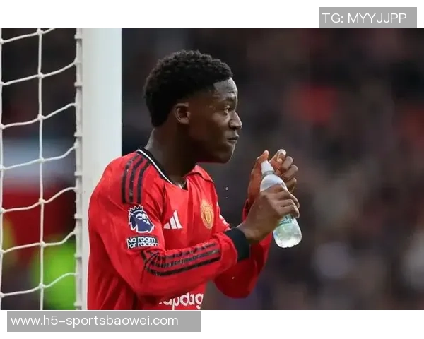 梅努英超赛季表现平平20岁小将替补多身价高达4500万位列队内第五