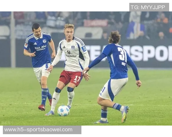 顶级俱乐部纷纷关注汉堡中卫武什科维奇拜仁在列 顶级俱乐部纷纷关注汉堡中卫武什科维奇拜仁在列